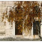 Die blaue Moschee / The blue mosque 6