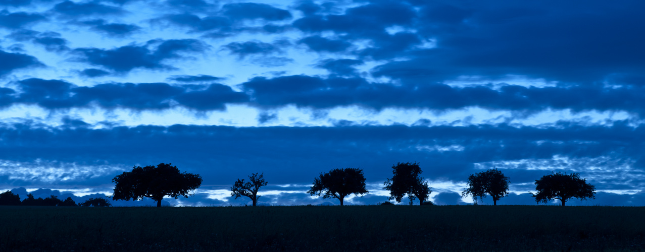 Die blaue Nacht