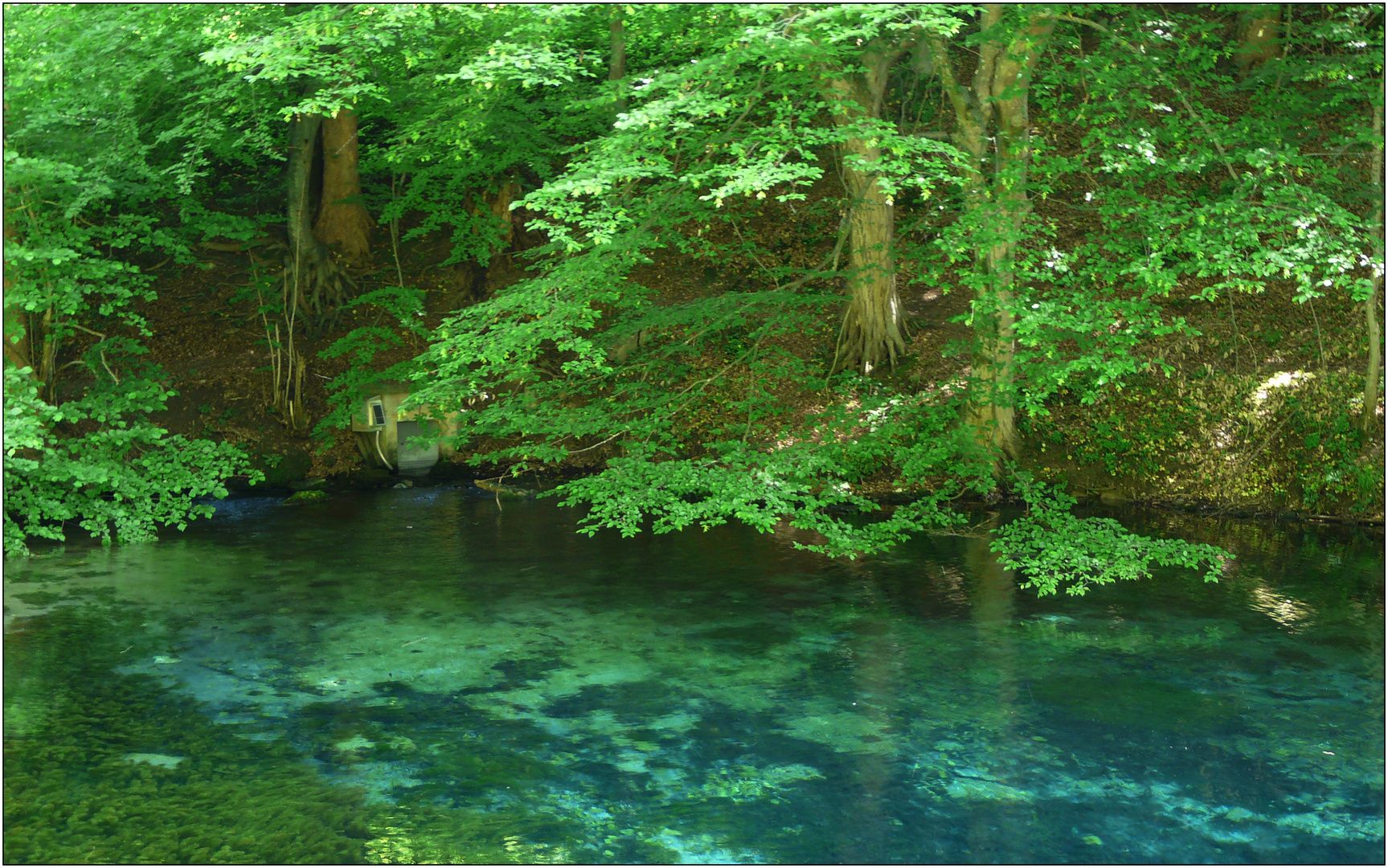 Die Blaue Quelle / Tirol Foto & Bild landschaft, bach, fluss & see