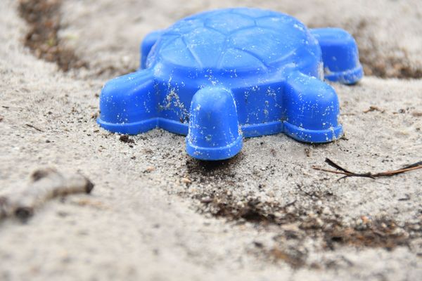 Die Blaue Schildkröte