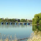 Die blaue Schwimmbrücke im Seepark in Freiburg Nr. 7