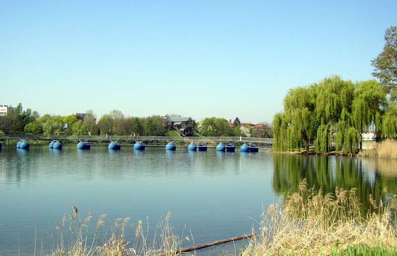 Die blaue Schwimmbrücke im Seepark in Freiburg Nr. 7