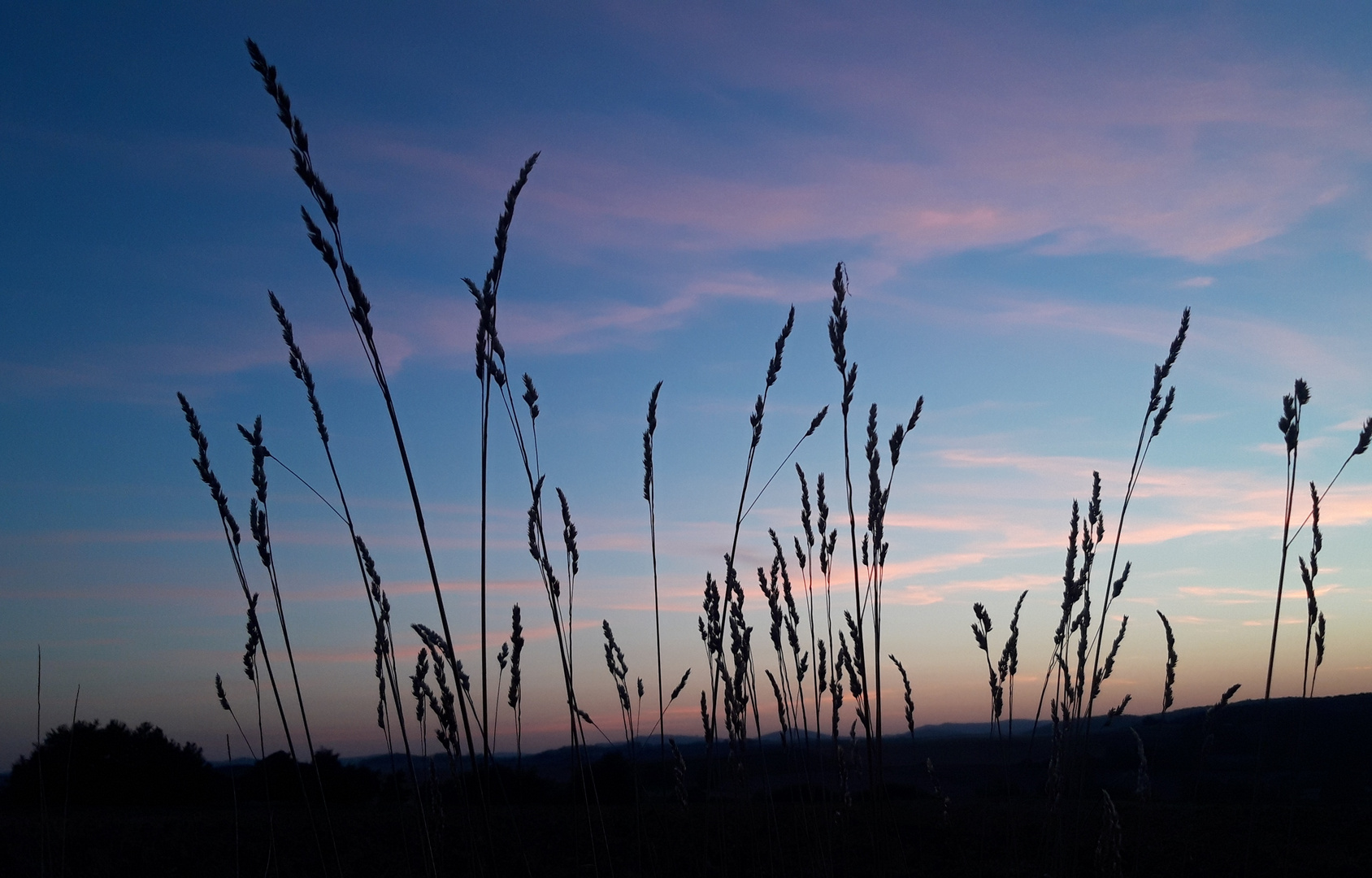 Die blaue Stunde