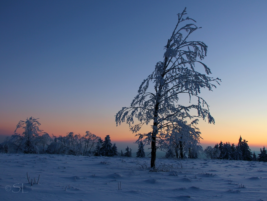 Die blaue Stunde