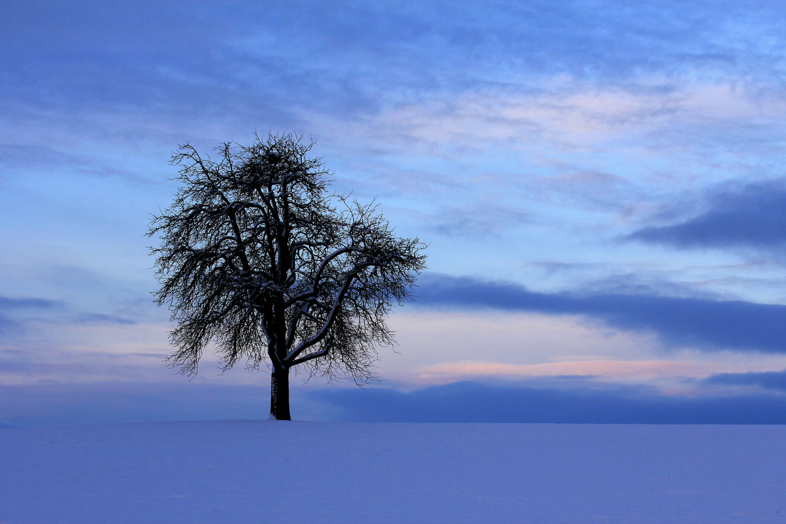 Die blaue Stunde