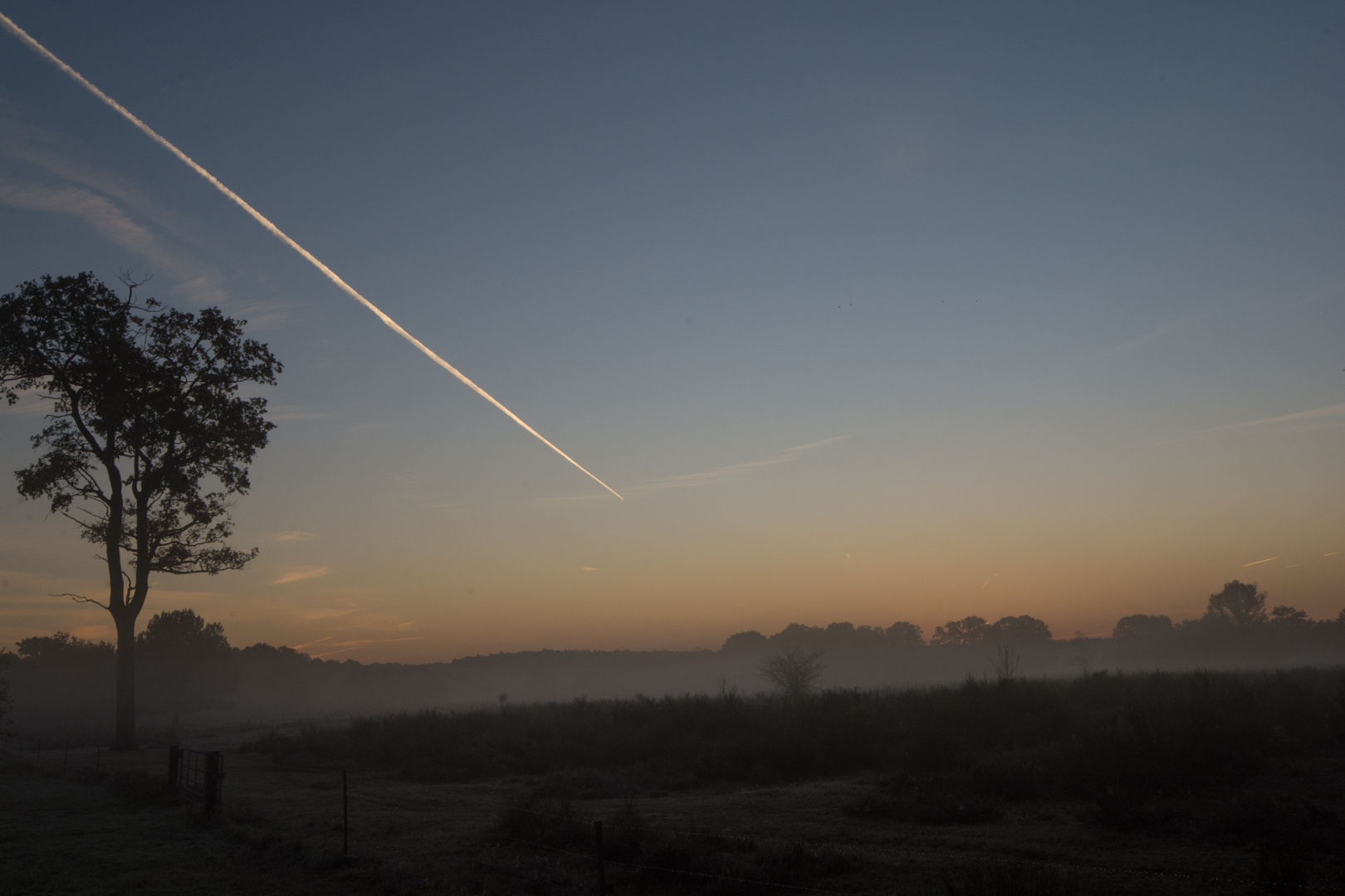 Die Blaue Stunde - Herbstmorgen in der Wahner Heide