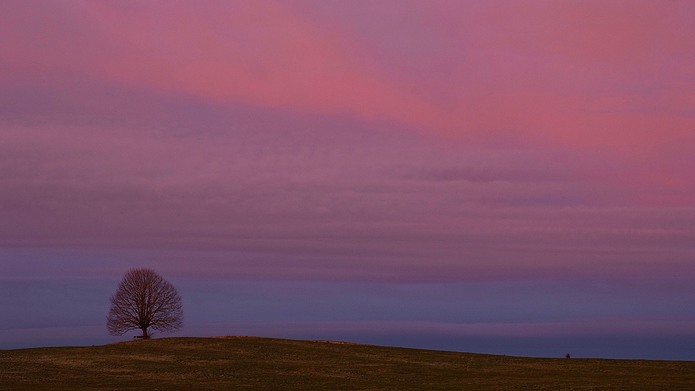 Die blaue Stunde wird Rot