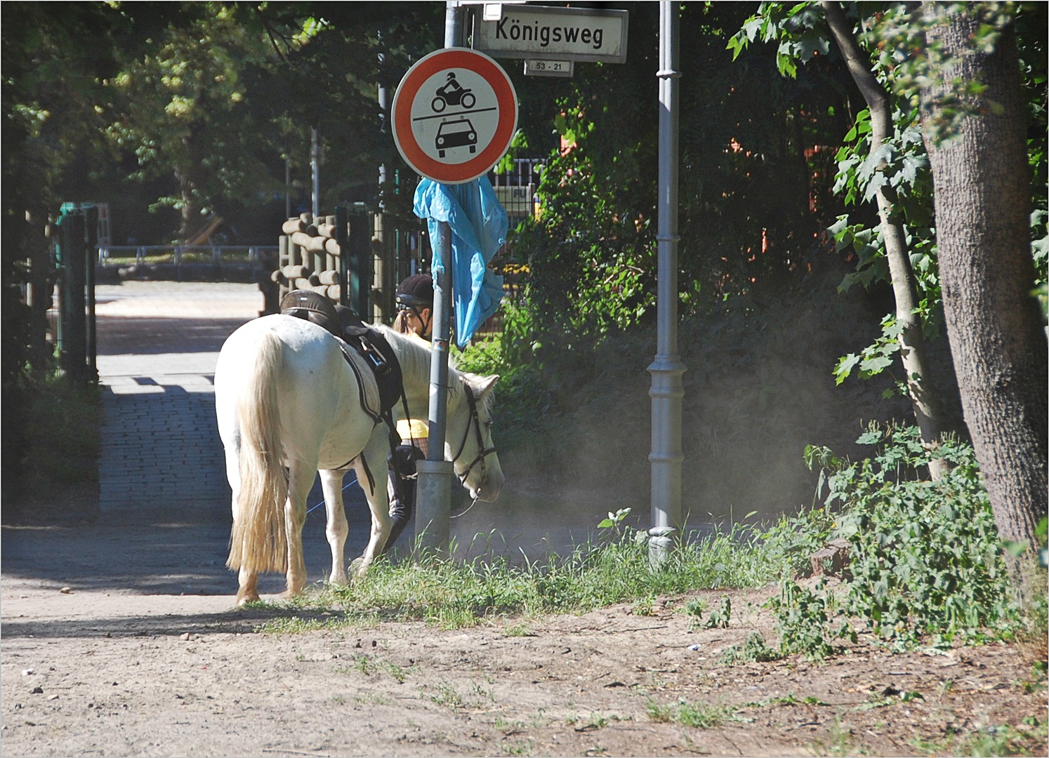 die blaue Tüte, das weiße Pferd und der Staub