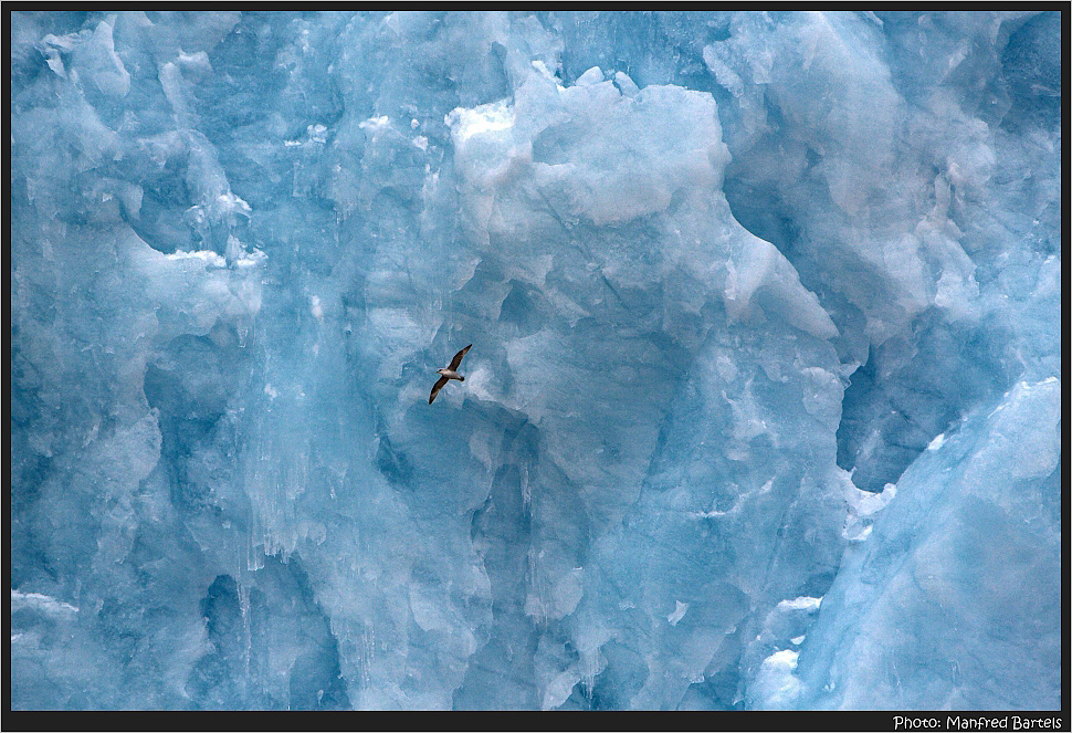 Die blaue Wand des Gletschers...