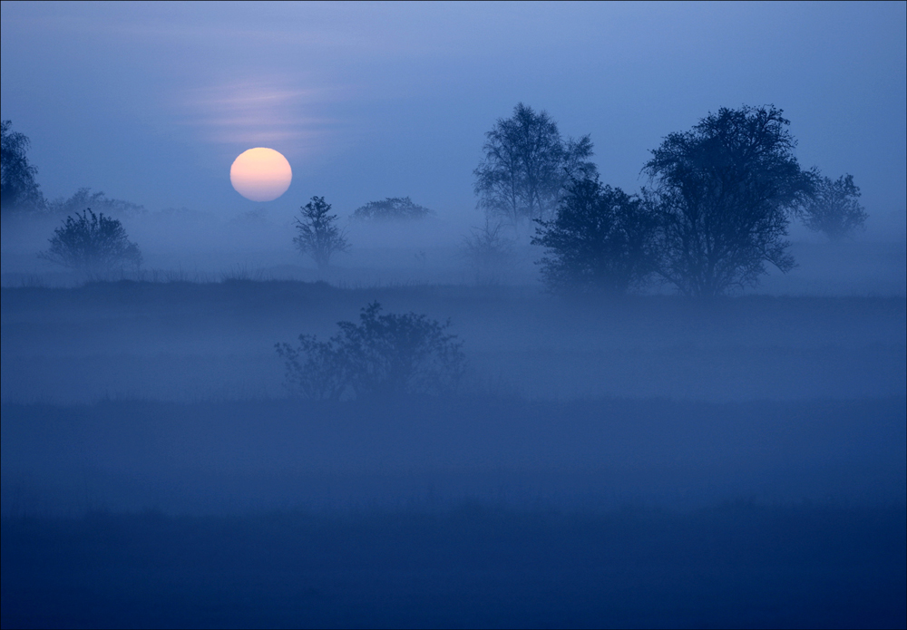 Die Blaue Zeit