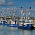 die blauen aus Büsum