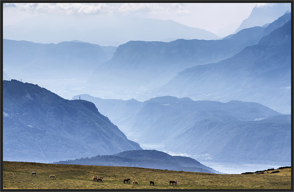 Die blauen Berge