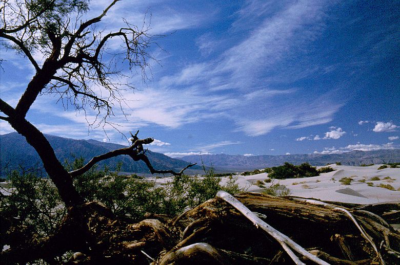 Die blauen Berge