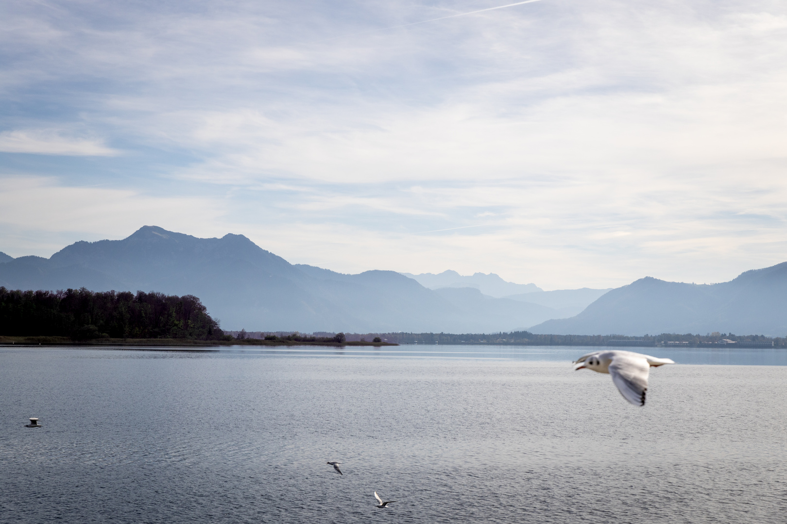 Die blauen Berge am Chiemsee