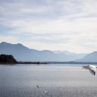 Die blauen Berge am Chiemsee