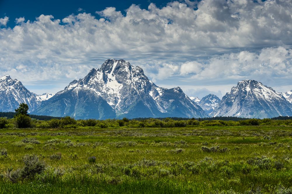 Die blauen Berge                DSC_4275-2