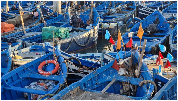Die blauen Boote von Essaouira