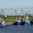 Die blauen Kutter von Greetsiel