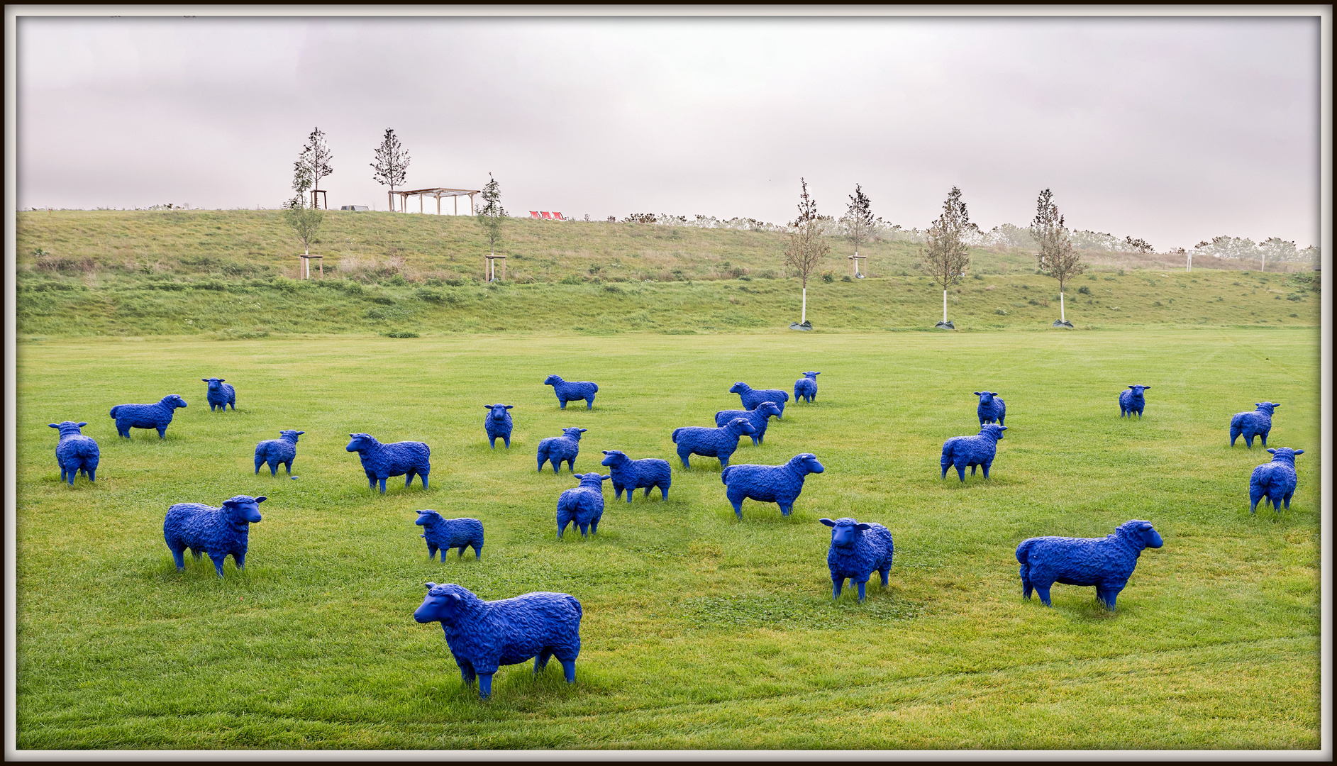 Die "Blauen Schafe".