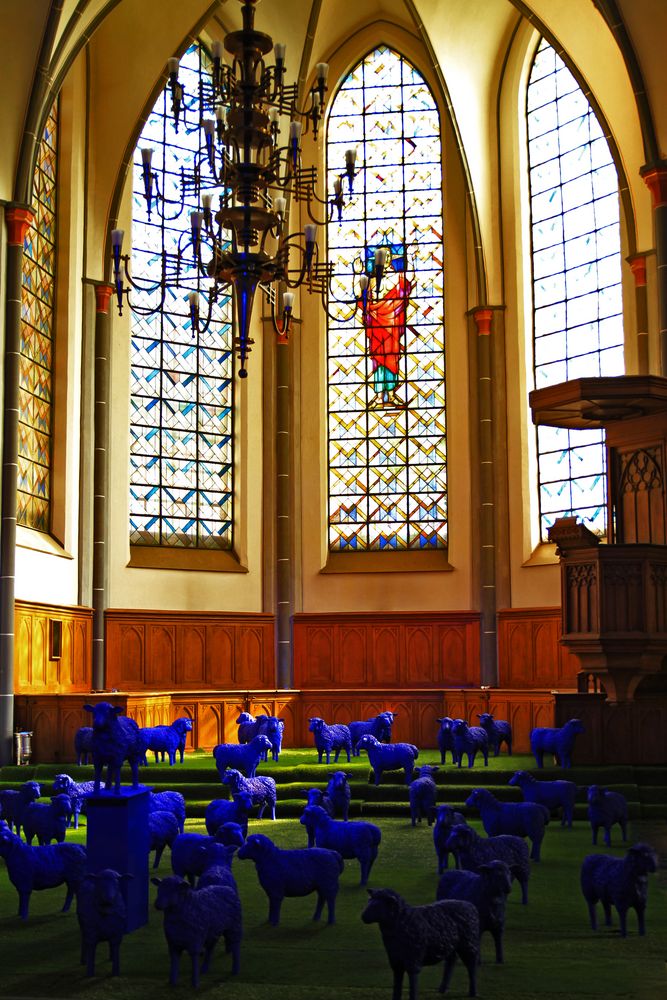 Die blauen Schafe in der Moerser Stadtkirche