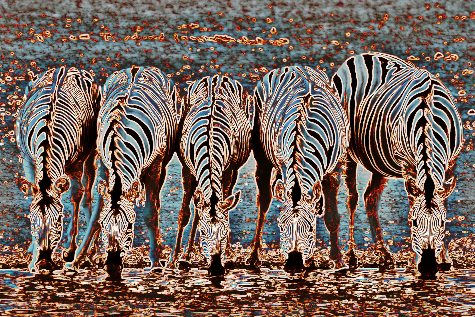 Die blauen Zebras