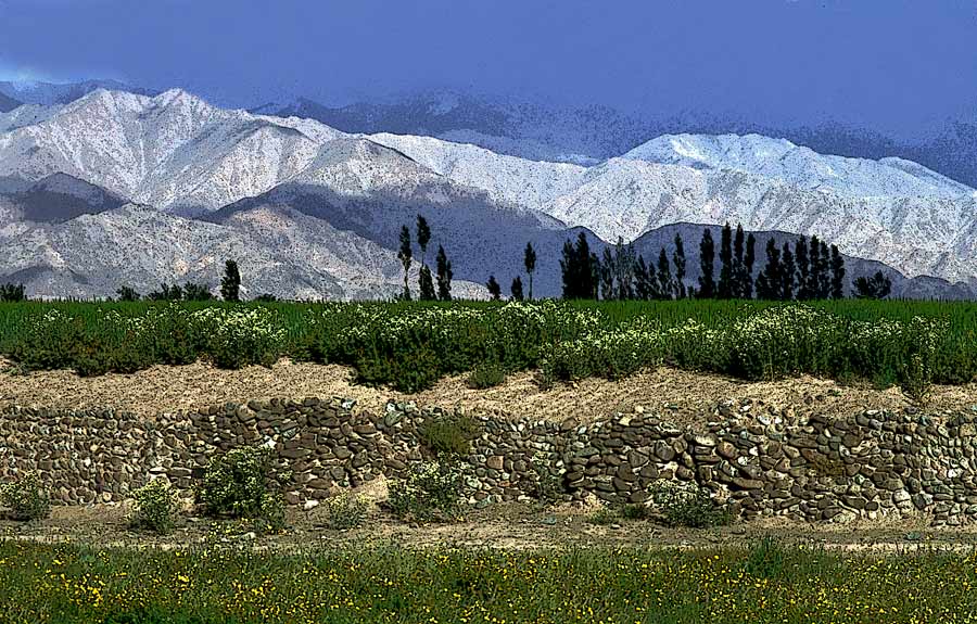 Die bleichen Berge im Westen von Leh in Ladakh (bearbeitet)