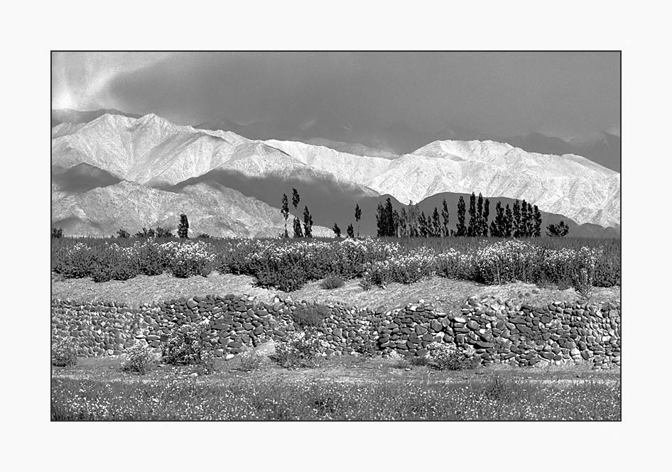 Die bleichen Berge von Ladakh (SW-Version)