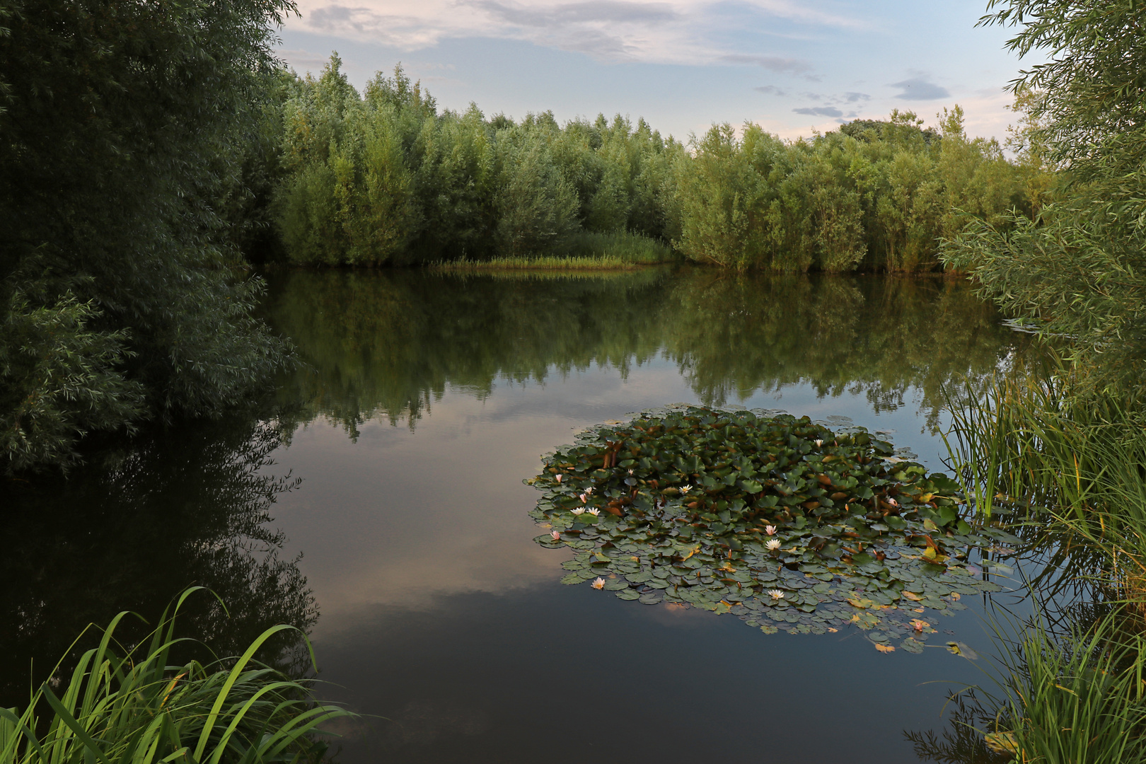 Die blühende Insel