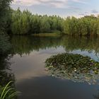 Die blühende Insel