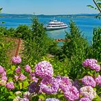 Die Blümcheninsel Mainau