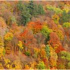 Die Blüten des Herbstes