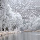 Die Blüten des Winters