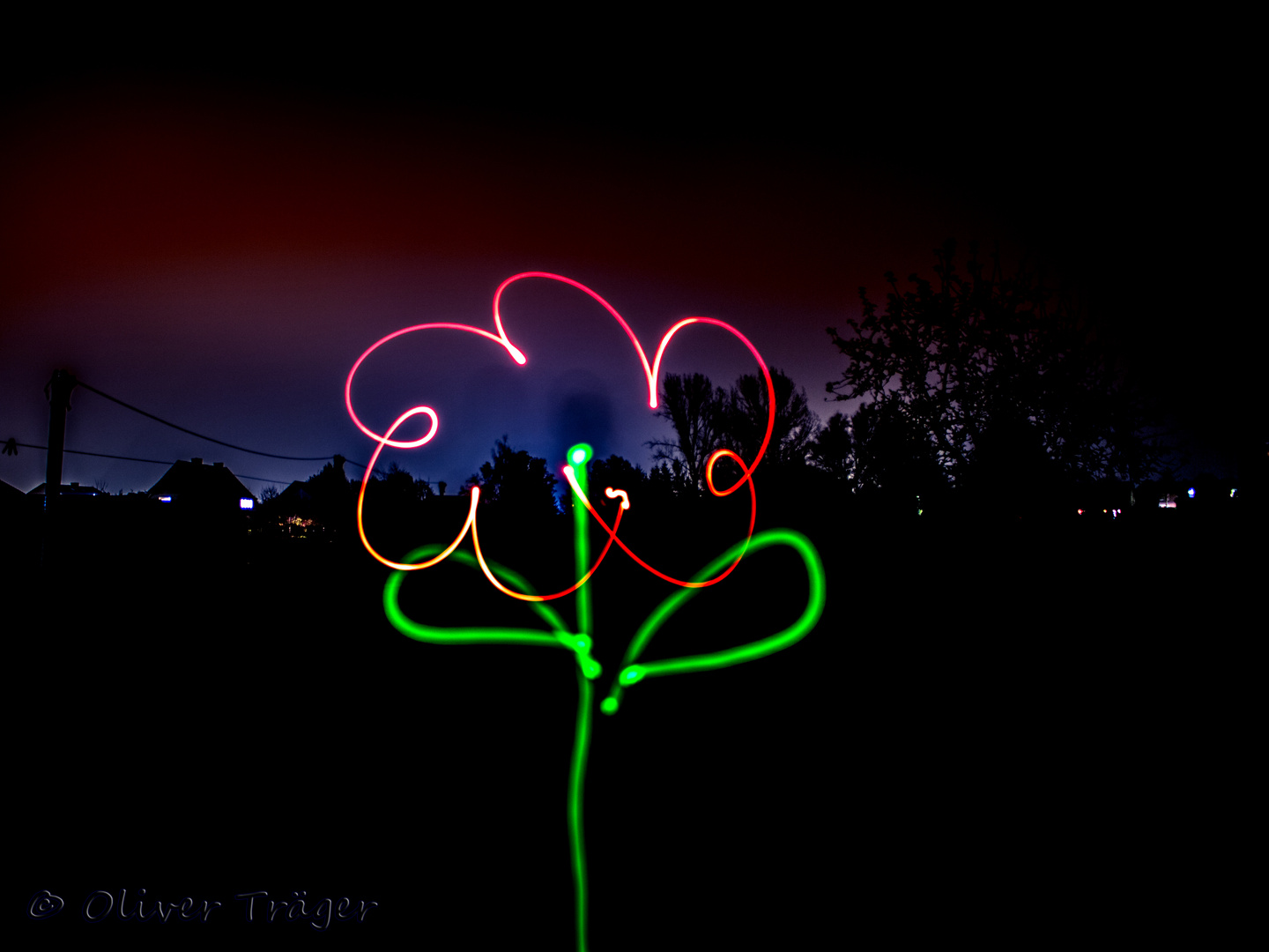 Die Blume in der Nacht