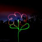 Die Blume in der Nacht