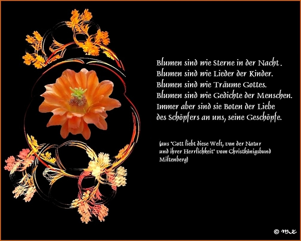 Die Blumen