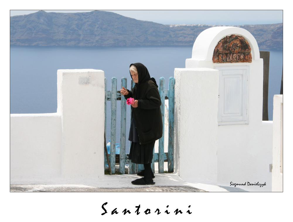 Die Blumen aus Santorini