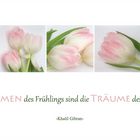 DIE BLUMEN DES FRÜHLINGS ...