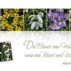 DIE BLUMEN DES FRÜHLINGS ...