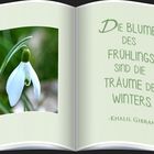 DIE BLUMEN DES FRÜHLINGS