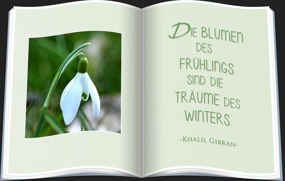 DIE BLUMEN DES FRÜHLINGS