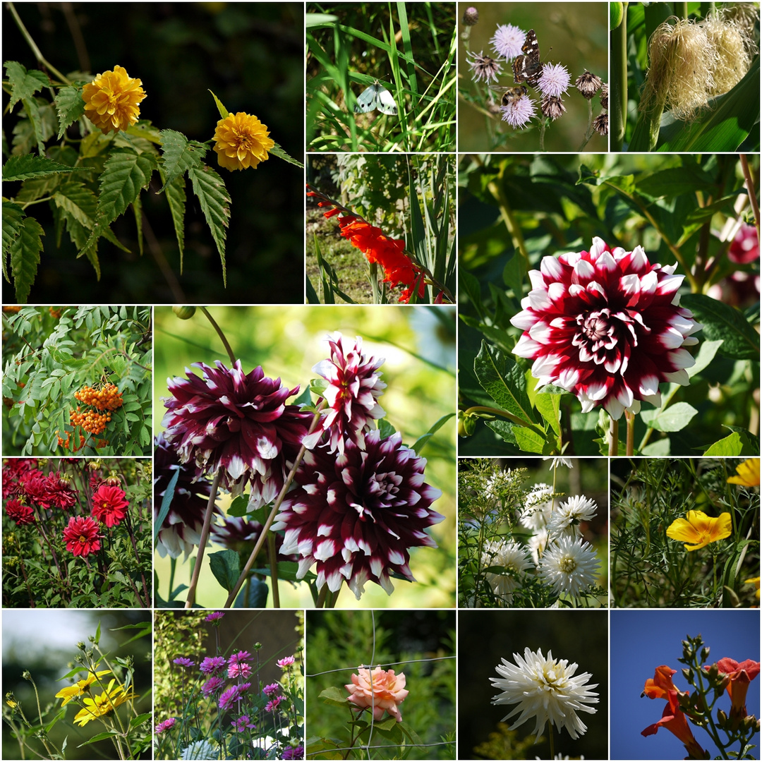 Die Blumen in fremden Gärten