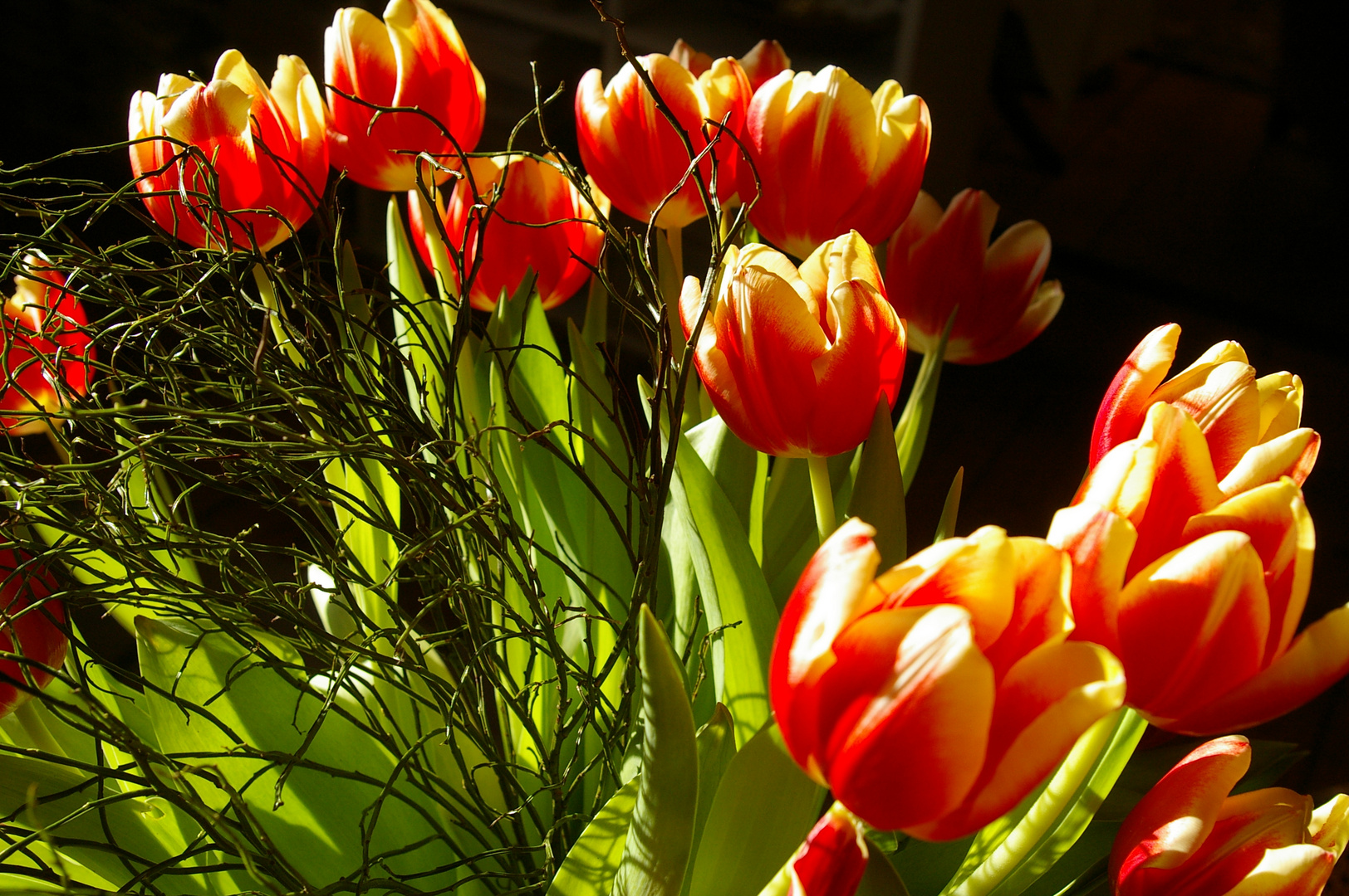 Die Blumen sind besorgt.........für die  "fc"  Damen......