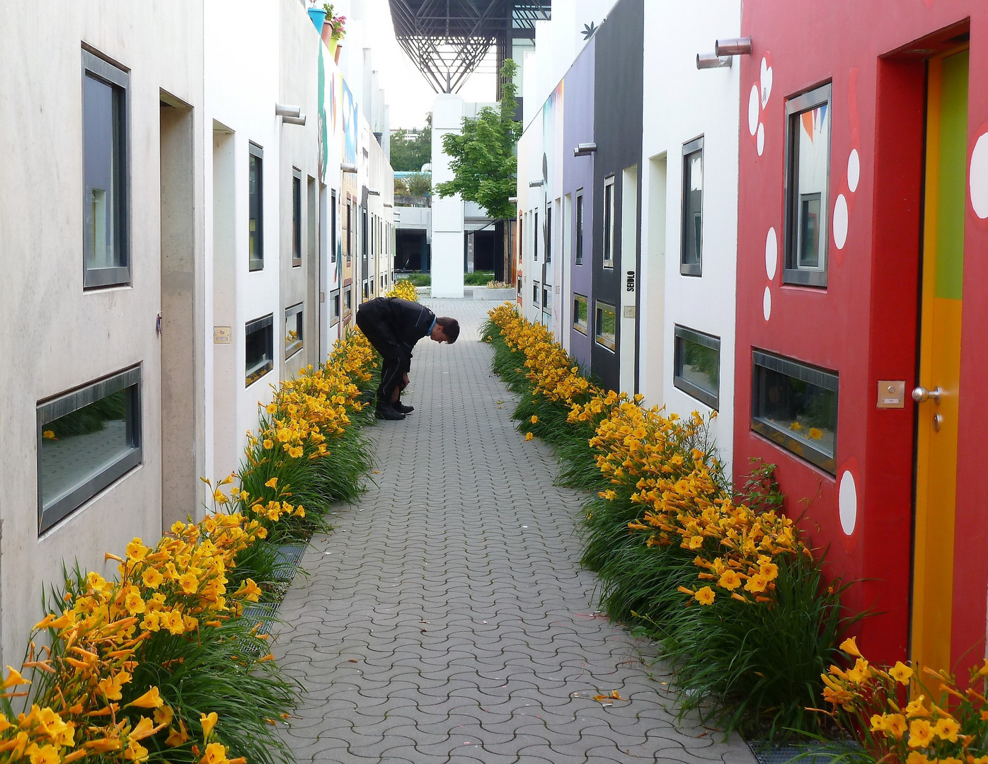 Die Blumen-Verbeugung.....