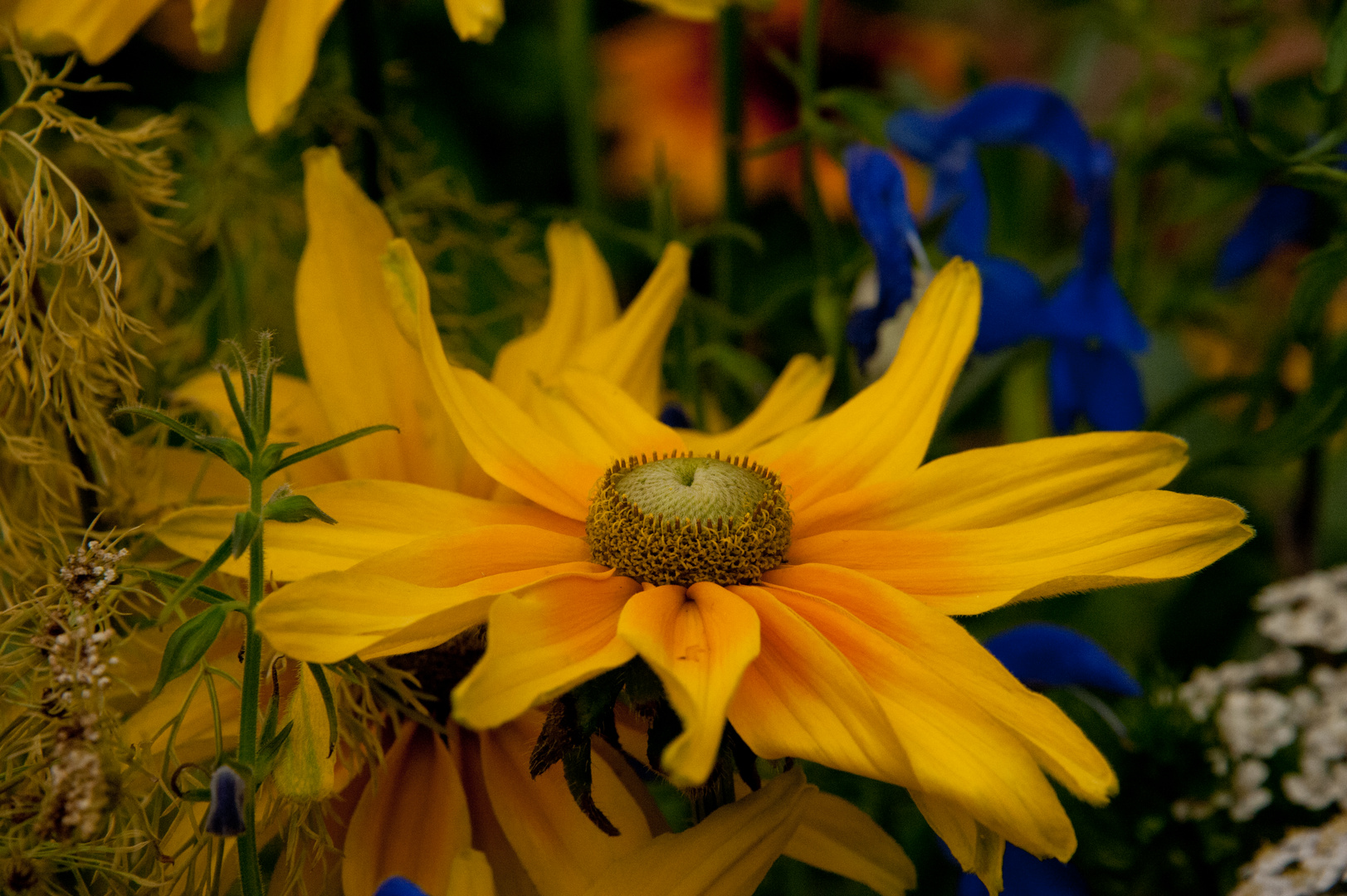 Die Blumen vom Weilburger Schloss