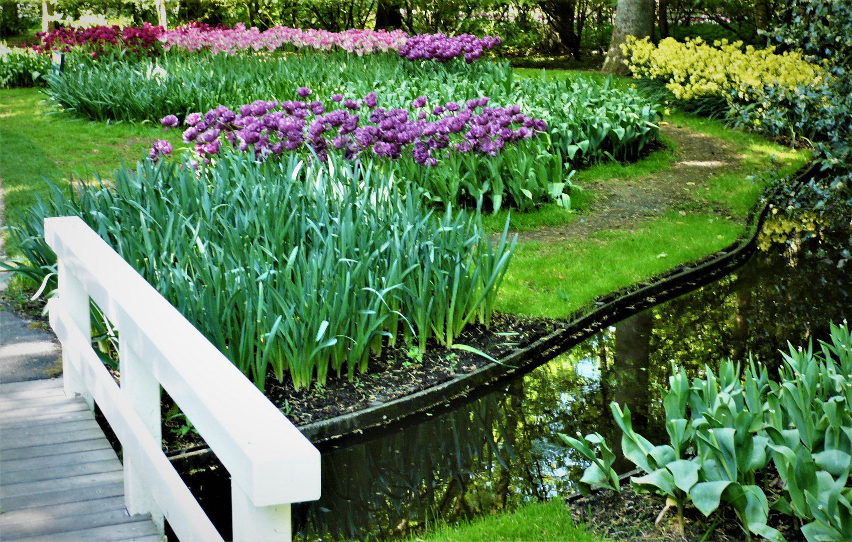 .. die BLUMENBEETE im KEUKENHOF .. (3)