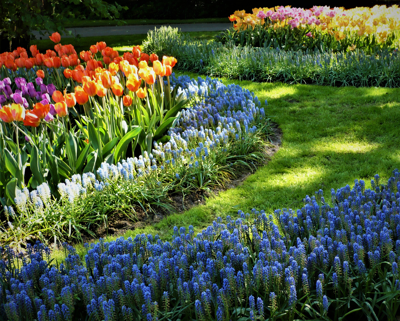 - die BLUMENBEETE im KEUKENHOF .. (6)