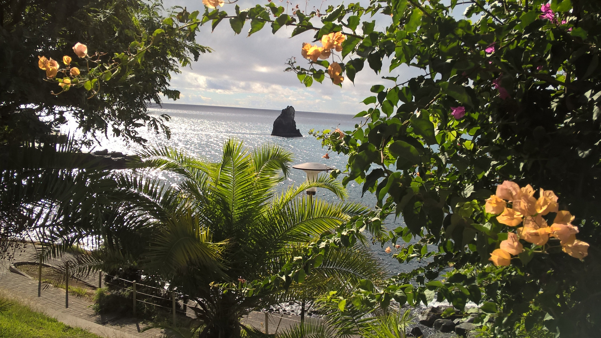 Die Blumeninsel Madeira