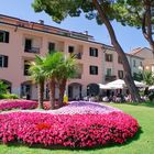 Die Blumenpracht - Desenzano del Garda