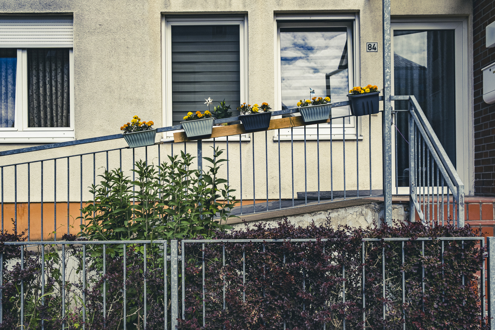 Die Blumenrutsche