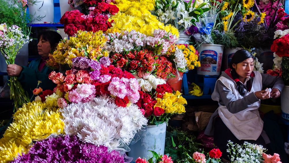 die Blumenverkäuferin